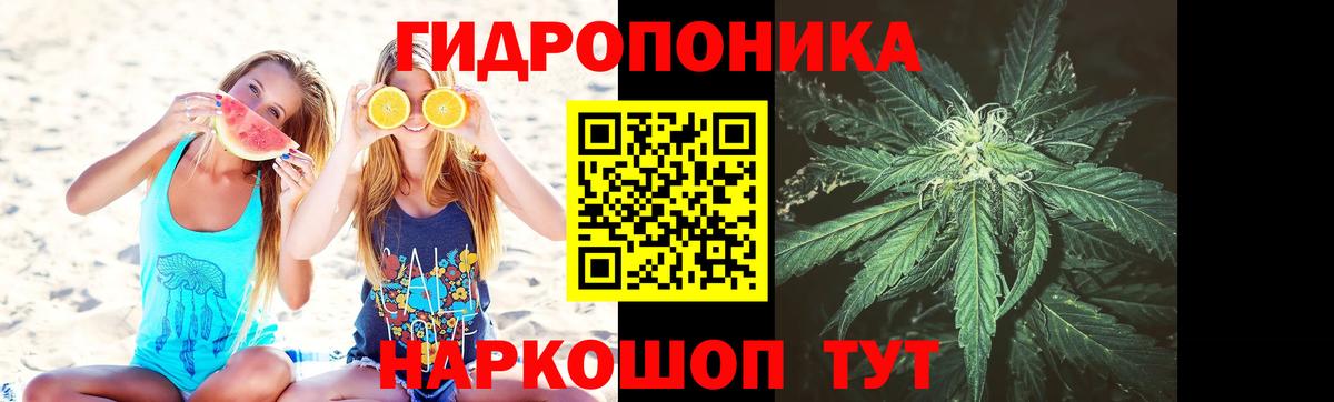 Марихуана Amnesia  Бошки марихуана Amnesia  Марихуана AK-47  Новокузнецк  Вход с VPN 